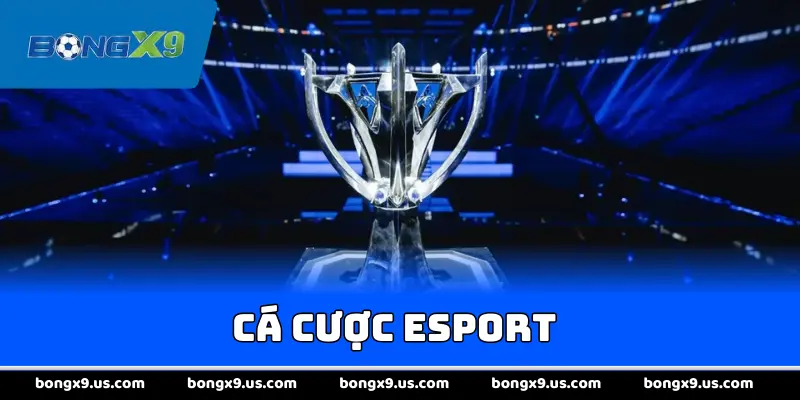Cá Cược Esport
